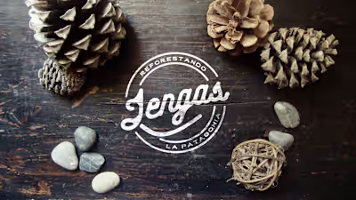 Rooted in Patagonia 🌲 Lengas is a brand with a purpose — cr...