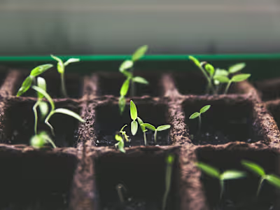 Fundraising Strategy for a Climate-Tech Company