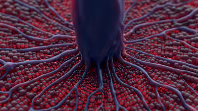 Liver function animation