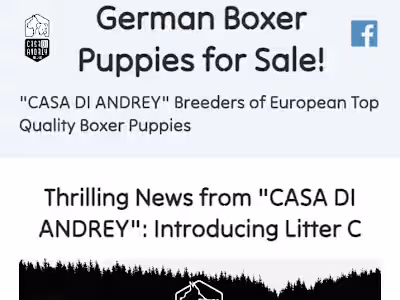 Kennel Website