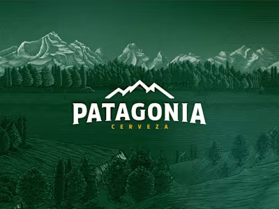 Patagonia: Concept Web Design