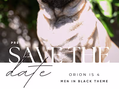 Creative Birthday Invitation | Photo + Design