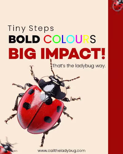 Day 2.
Playing around with Topography