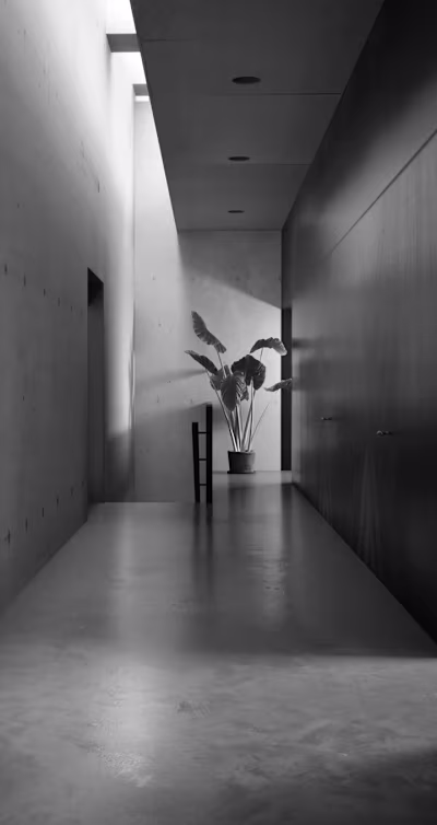 Some 3D Renders created for