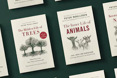 Illustrations + Cover Art for a NYT's Bestselling Trilogy