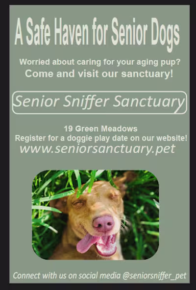 Senior Dog Sanctuary