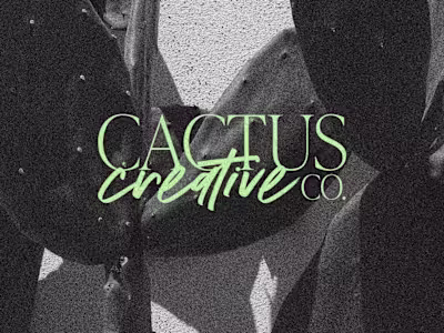 Social Media Branding | Cactus Creative Co.