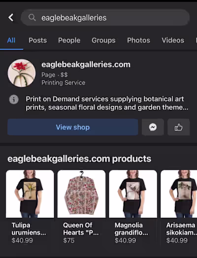 Wordpress E-commerce Website Development