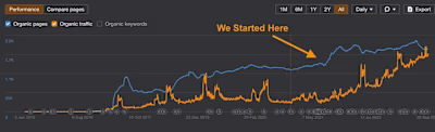 Flower online shop 381% growth