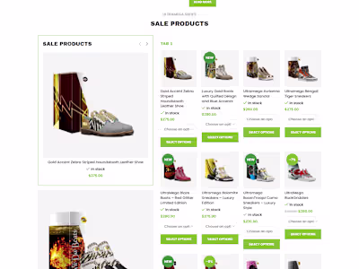 Wordpress Ecommerce website