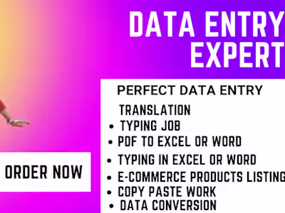 data entry expert