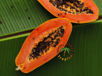 Colombia Tropical Fruit: Designing a Bold Brand Identity