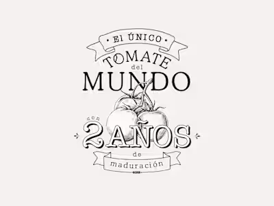 MASIA TALLÓN | Webpage