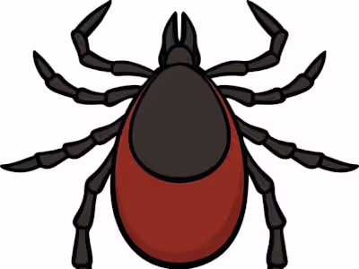 Lyme Disease