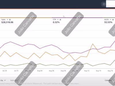 PPC Campaign Scaling & Growth Strategy