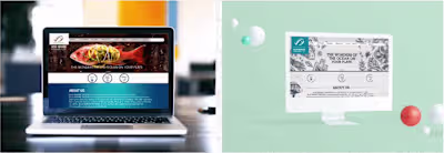 Web Design