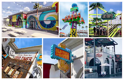 Branding & Signage Projects 