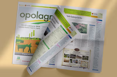 Newspapers and magazines designs. Developing and publishing