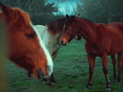 Coors Light Comm VO - YouTube