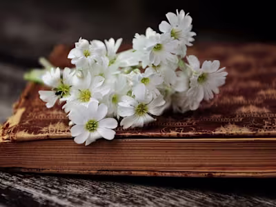 7 Secrets of Internet Marketing