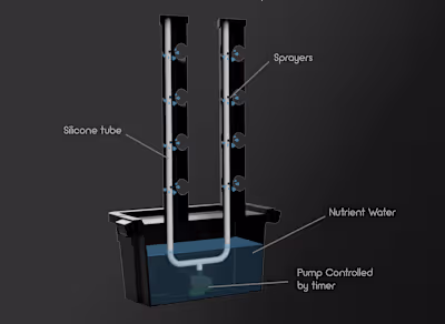 Aeroponics System Design for Cumulus Green 2022