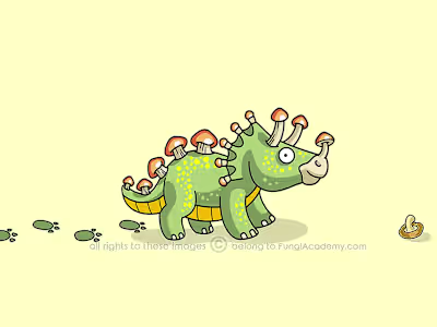 Mushroom Ecology Educational Course Assets