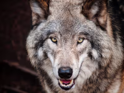 Audiobook Narration Example