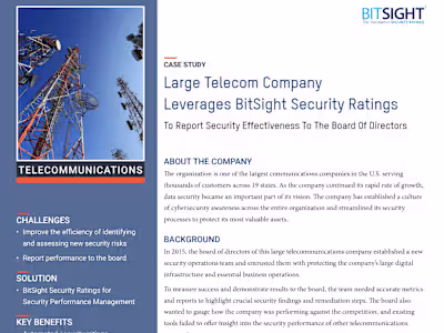 Large Telecom Case Study
