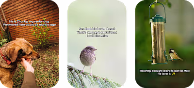 Short Stories for Social Media (Image/Video)