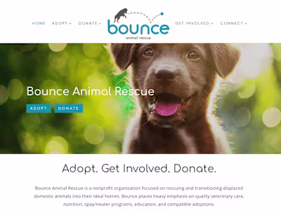 Website Design & Development - Non-Profit