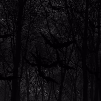 The charm of horror only tempts the…