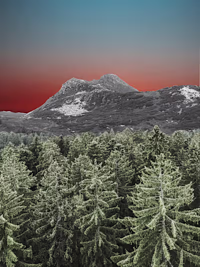 Collages