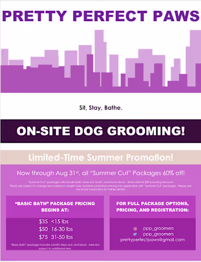 Summer Grooming Promo Flyer