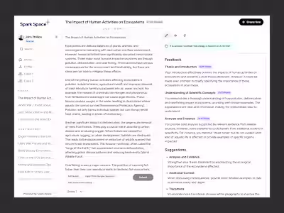 SparkSpace AI Identifier Proposal