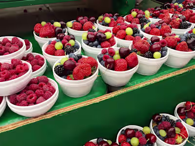 Plant-based Eating 101: A Beginner's Guide