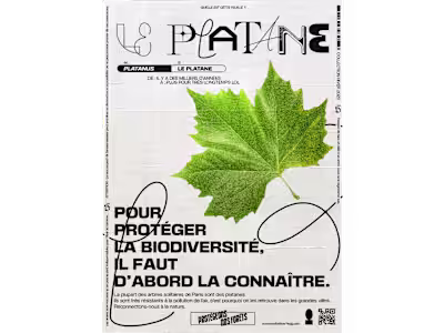 PROTEGEONS NOS FORETS