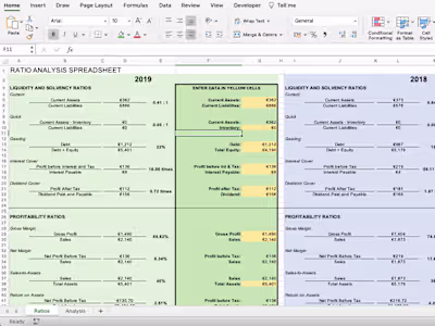 Financial Position Analysis