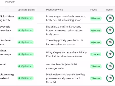 Shopify store optimization