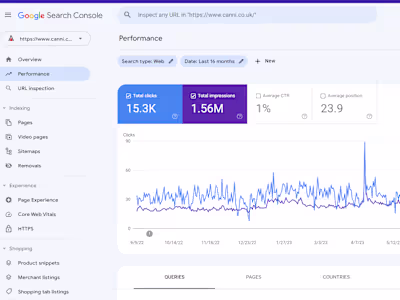 SEO Specialist Successfully Enhances Google Ranking for Canni