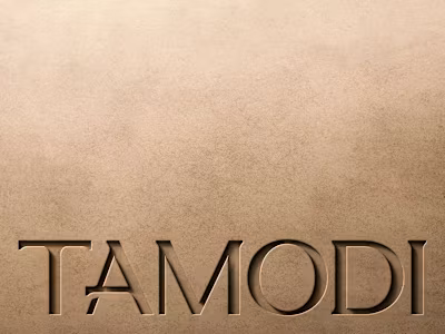 Snapshot of the visual identity we crafted for Tamodi.