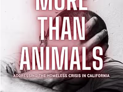 More than Animals : Addressing the Homeless Crisis …