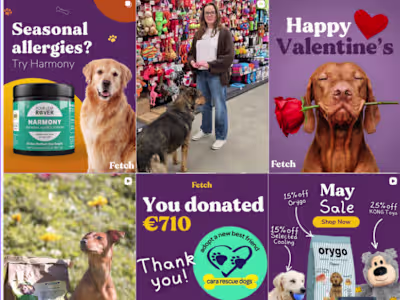 SOCIAL DESIGN - FETCH