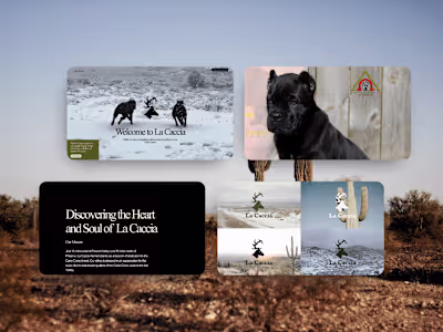 Website Design & Development