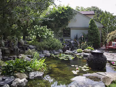 Pond Filter Buyer's Guide