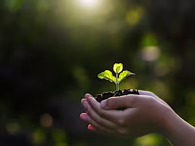 Market Expansion - Agricultural Export Company