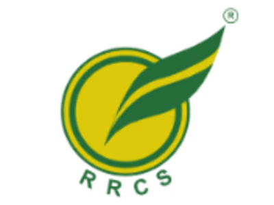 Web Design & Development