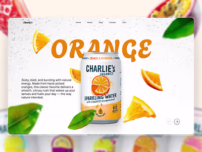 Dribbble Project Showcase