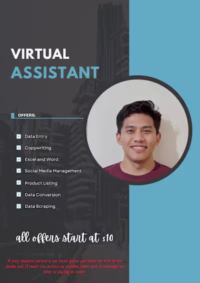 I will be your virtual assistant for data entry and file conver…
