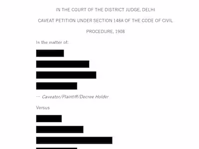 Drafted a Caveat Petition under