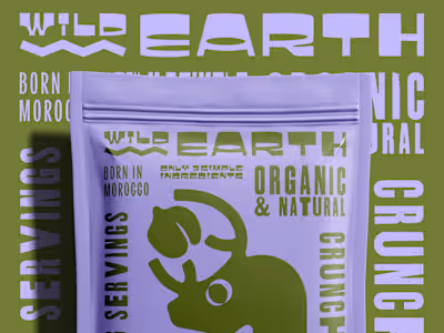Wild Earth Harvest Organic Chickpea Crackers Packaging Design